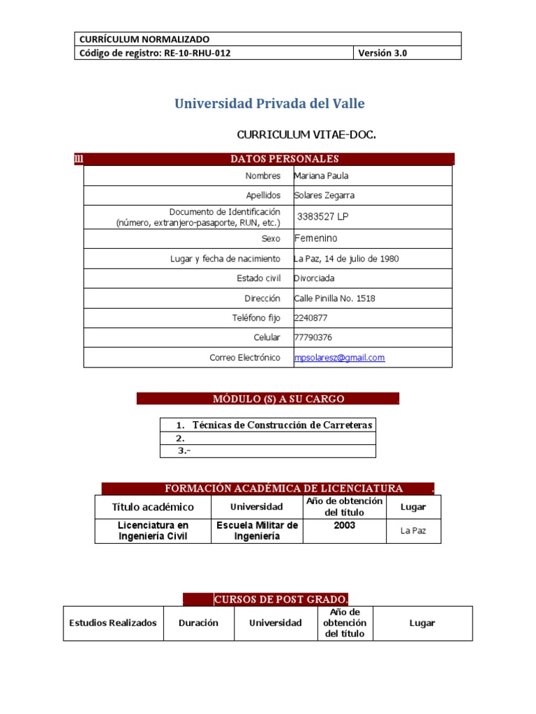 FORMATO Curriculum Normalizado ISO | PDF | Ingeniero civil | Educación ...