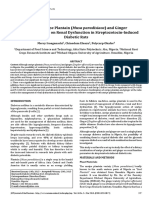 Effect of Unripe Plantain Musa Paradisiaca and Ginger Zingiber Officinale On Renal Dysfunction in Streptozotocininduced Diabetic Rats