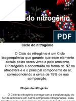 Ciclo do nitrogênio: importância e etapas