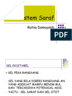 Sistem Saraf