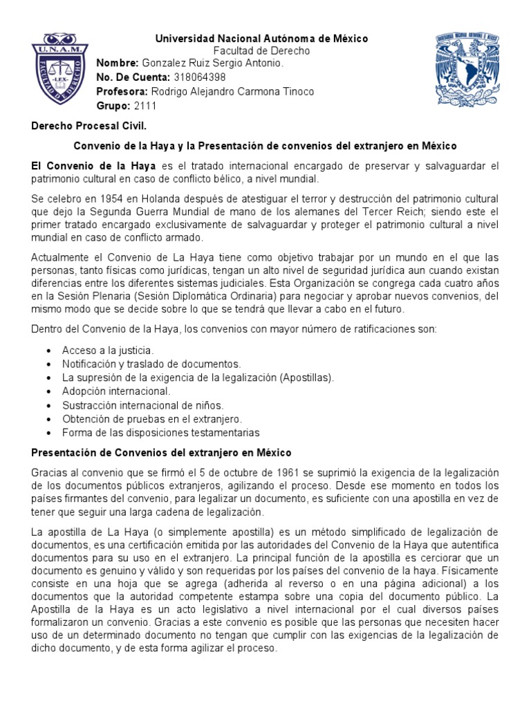Convenio de La Haya PDF Tratado