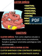 Anatomia e exame do intestino grosso por enema opaco