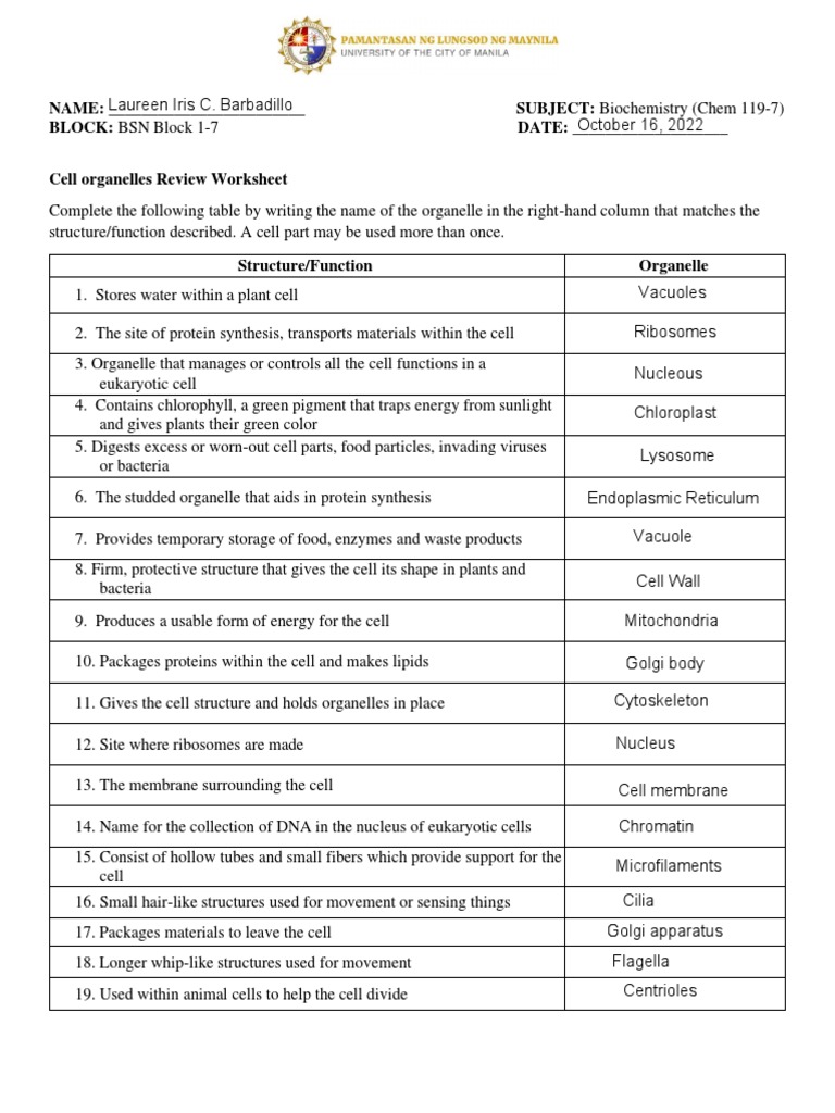 Worksheet No. 1 - Cell Organelle | PDF | Endoplasmic Reticulum 