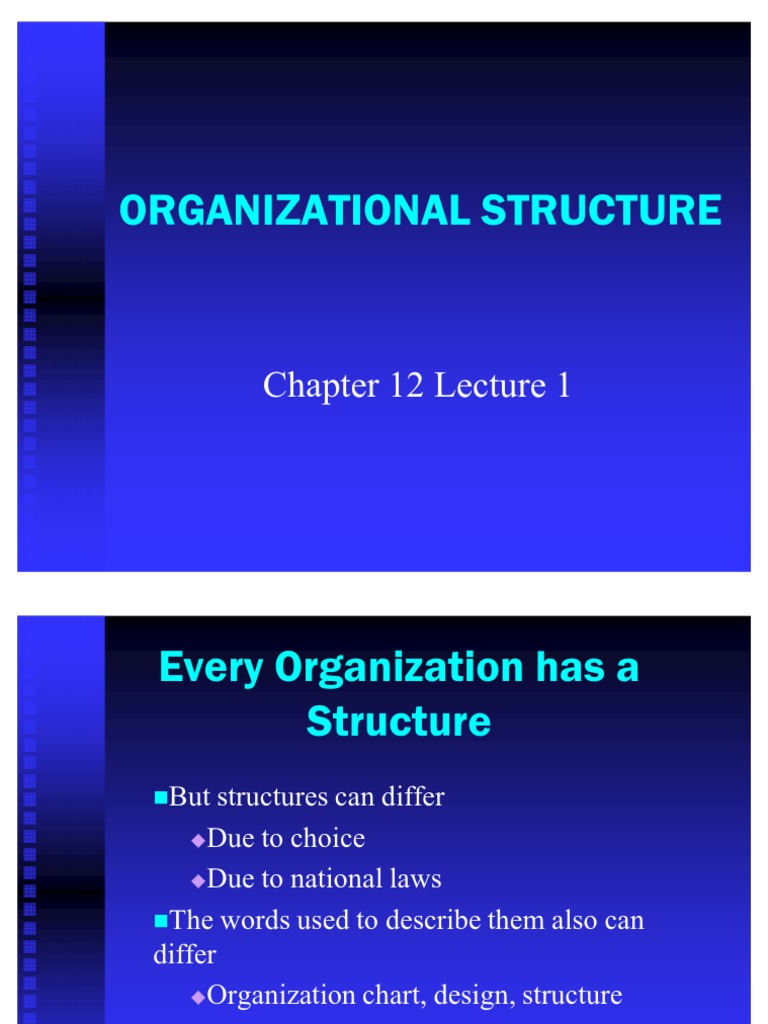 Chapter 12 Lecture 1 Organizational Structure | PDF | Chief Executive ...
