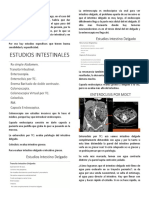 TC Intestinal