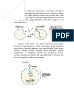 Cell Signalling