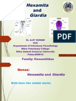Hexamita Giardia