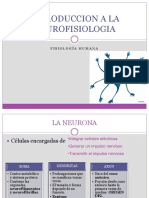 Introduccion A La Neurofisiologia