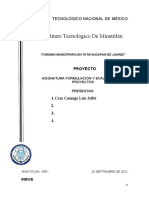 Formulacion y Evaluacion de Proyectos