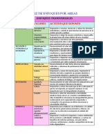 Matriz de Enfoques Por Areas