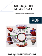 Integra%c3%87%c3%83o Do Metabolismo Parte 1 Para Os Alunos