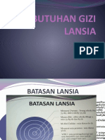 Kebutuhan Gizi Lansia 2022