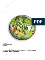 Etude Deloitte Potentiel Guyane 3