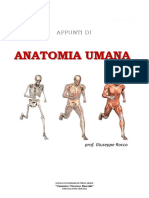 Appunti Di Anatomia Umana v. 2020