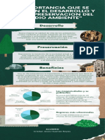 Infografía Cuidado Del Medio Ambiente Moderno Verde