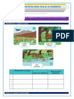 Ficha La Convivencia de Los Seres Vivos en Un Ecosistema