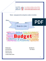 Budget de Vente VF
