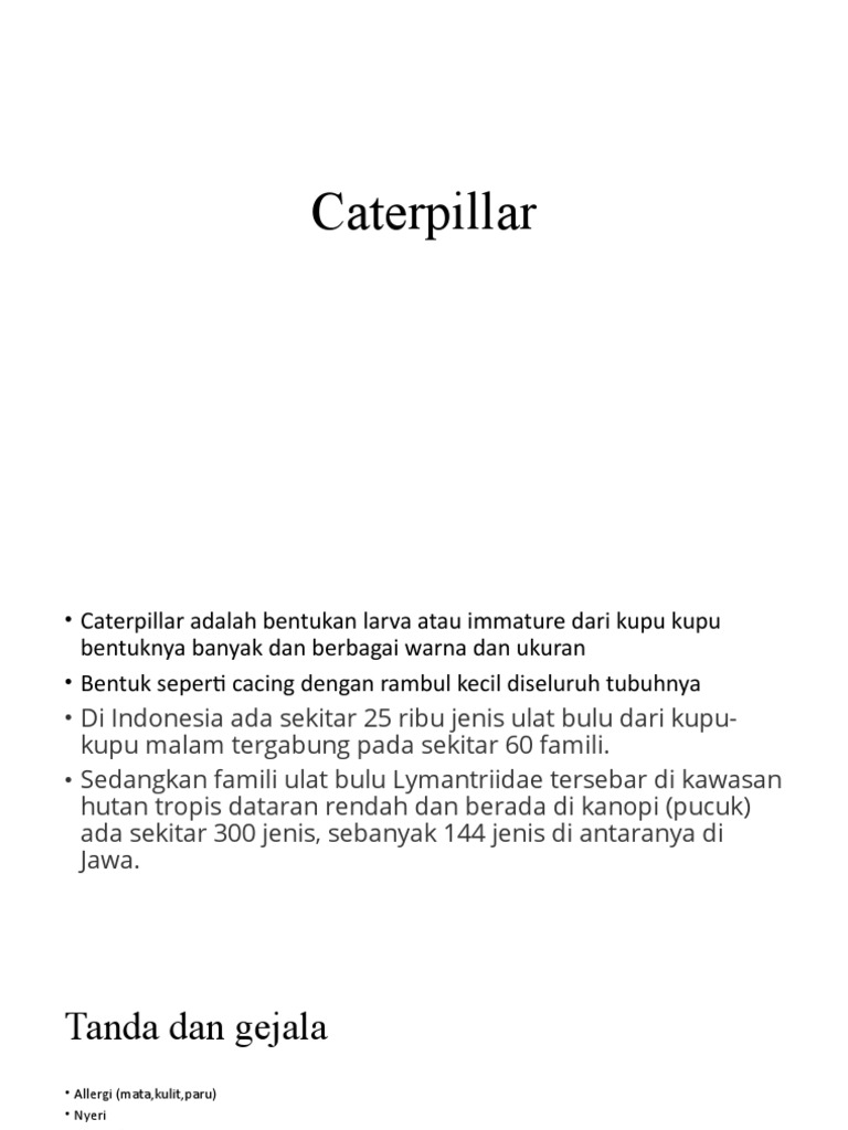 Caterpillar | PDF