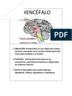 Fichas Diencéfalo