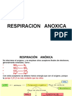 RESPIRACION ANOXICAok