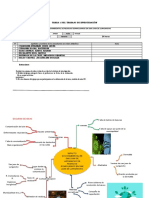 Esquema de Ideas y Plan de Accion