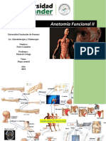 Anatomía Funcional II