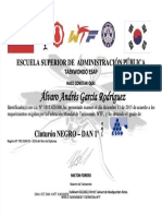 PDF Diploma Cinturon Negro Esap Andres Compress