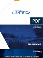 Bioquímica Sem-05 Sesión-13 2022-2