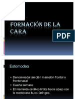 Formación de La Cara