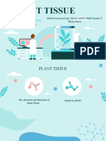 Plant Tissue Structure and Function