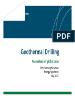Geothemal Drilling - An Analysis of Global Data