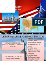 Amerika Serikat