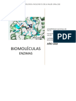 Archivo 11biomoleculas. Enzimas.