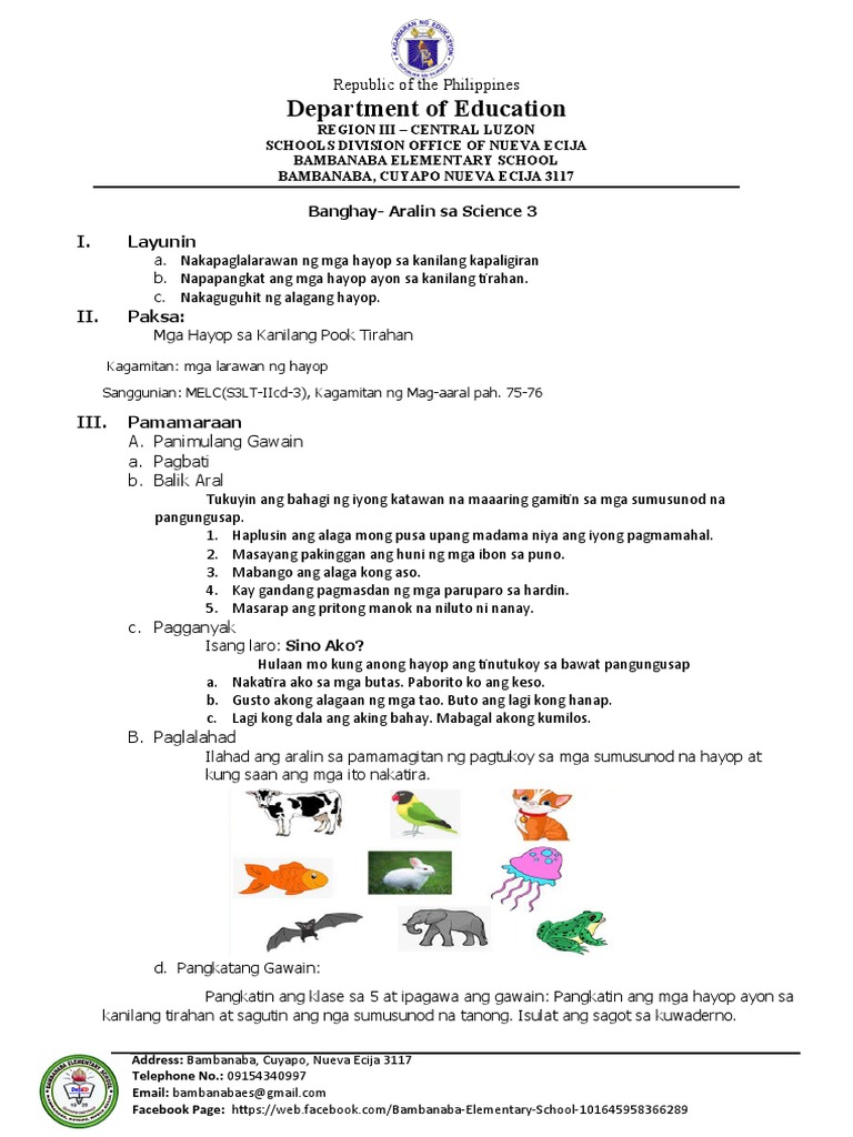 Sample Lesson Plan Science 3 Pdf
