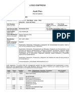 Plan de auditoria externa. ejemplo