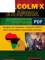 Cap. 05. Malcolm X e A África