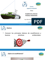 Ecoeficiencia y Buenas Prácticas Ambientales en Ingeniería Ambiental