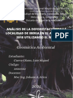 Análisis de La Deforestación de La Localidad de Iberia - Luis Miguel Cueva Olano
