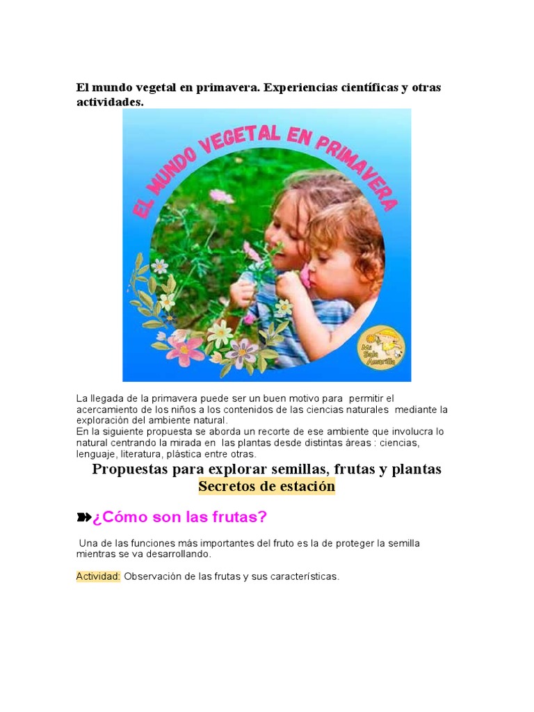 Actividades Científicas de Primavera | PDF | Plantas | Papel