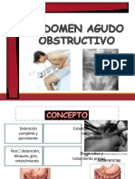 Abdomenagudoobstructivo 37