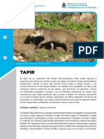 Conservación del tapir en Argentina