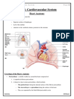 Cardiovascular System 78698524