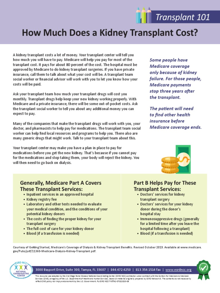 How Much Does A Kidney Transplant Cost? Download Free PDF Kidney