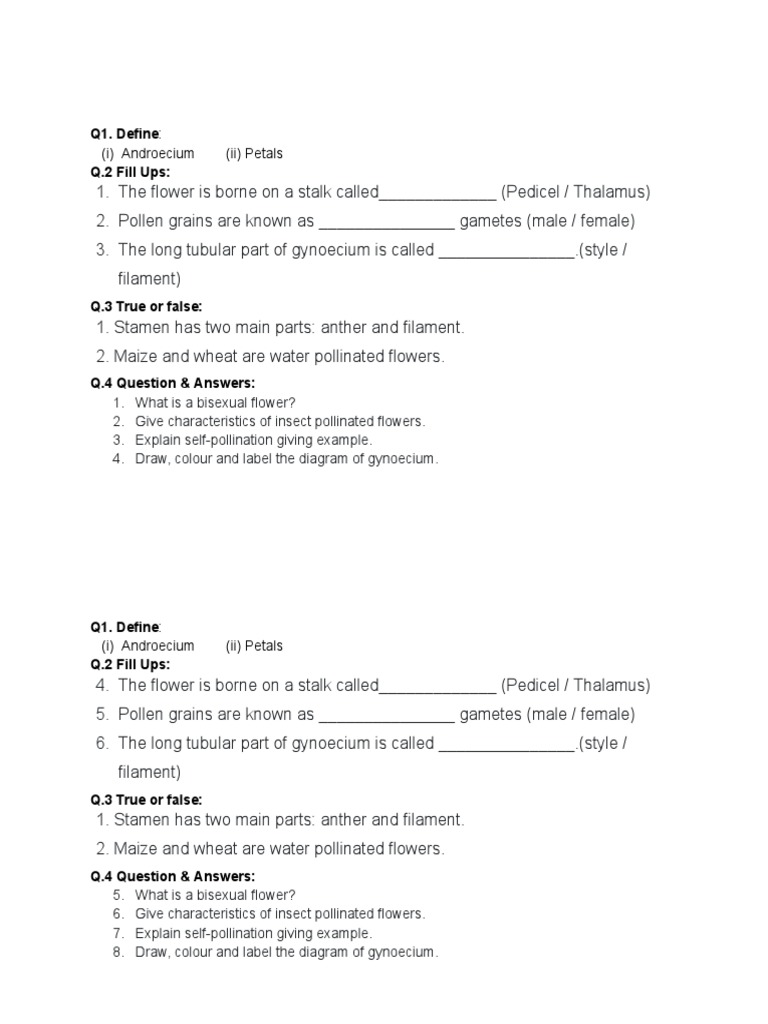 Flower Structure and Pollination Quiz | PDF