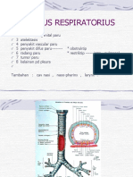 Adoc - Pub Tractus Respiratorius