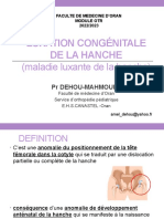 5-Maladie Luxante de La Hanche
