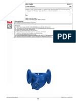 PN25 Strainers