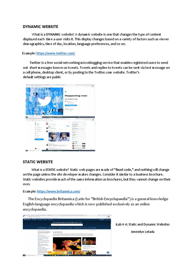 Static vs Dynamic Websites Explained | PDF