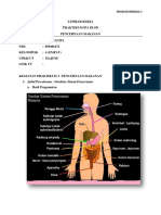 LKP Sistem Pencernaan (Nurhalipa)