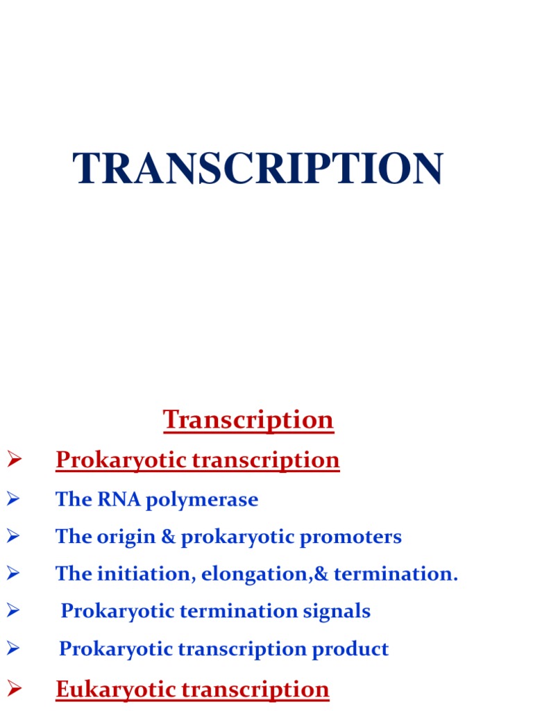 Transcription Pdf Rna Messenger Rna